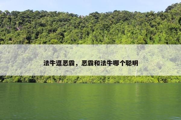 法牛逗恶霸，恶霸和法牛哪个聪明