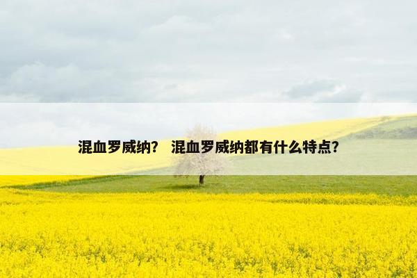 混血罗威纳？ 混血罗威纳都有什么特点？