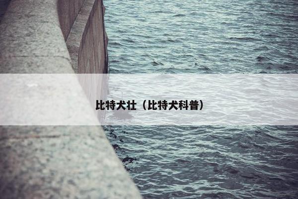 比特犬壮（比特犬科普）