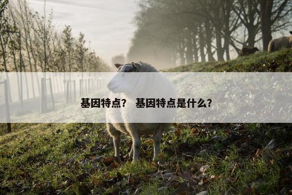 基因特点？ 基因特点是什么？
