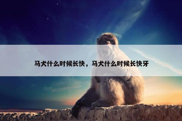 马犬什么时候长快，马犬什么时候长快牙