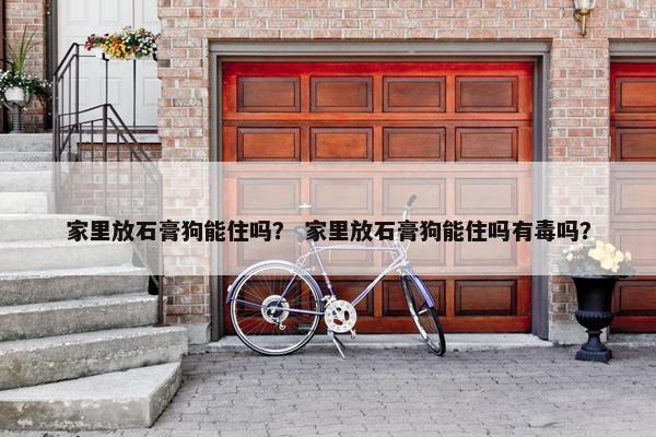 家里放石膏狗能住吗？ 家里放石膏狗能住吗有毒吗？