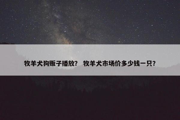 牧羊犬狗贩子播放？ 牧羊犬市场价多少钱一只？
