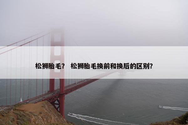 松狮胎毛？ 松狮胎毛换前和换后的区别？