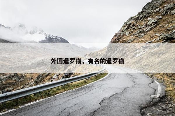 外国暹罗猫，有名的暹罗猫