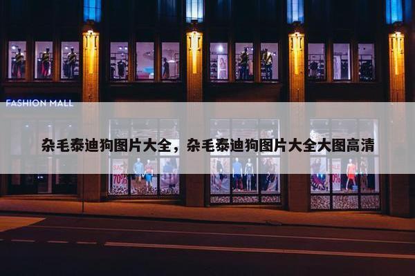 杂毛泰迪狗图片大全，杂毛泰迪狗图片大全大图高清