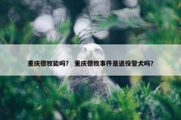 重庆德牧能吗？ 重庆德牧事件是退役警犬吗？