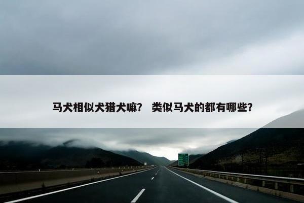 马犬相似犬猎犬嘛？ 类似马犬的都有哪些？