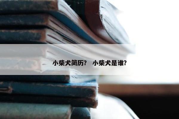 小柴犬简历？ 小柴犬是谁？