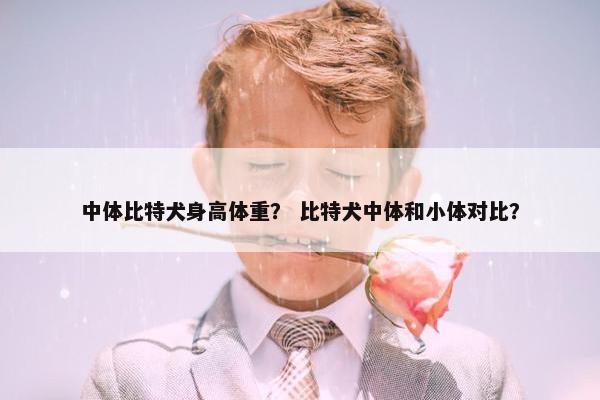 中体比特犬身高体重？ 比特犬中体和小体对比？