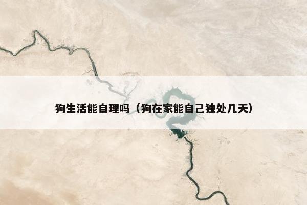 狗生活能自理吗（狗在家能自己独处几天）