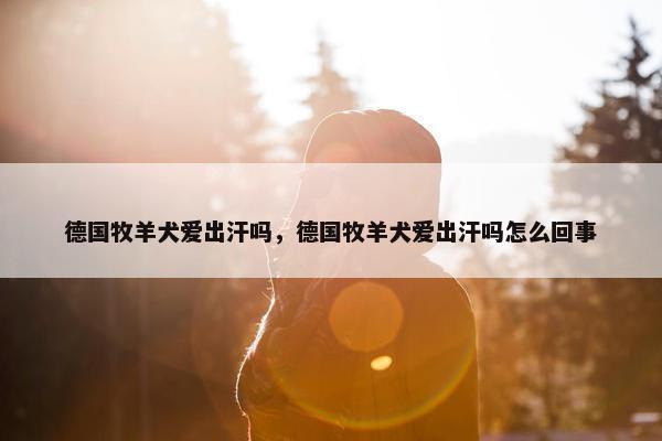 德国牧羊犬爱出汗吗，德国牧羊犬爱出汗吗怎么回事