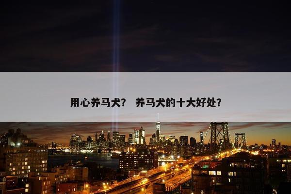 用心养马犬？ 养马犬的十大好处？