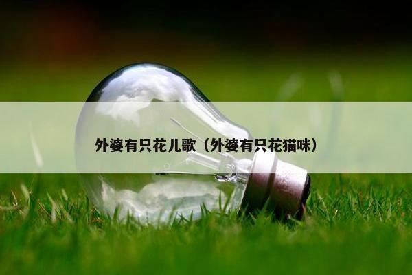 外婆有只花儿歌（外婆有只花猫咪）