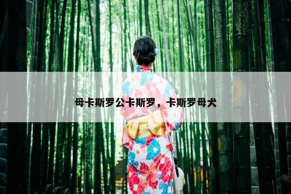 母卡斯罗公卡斯罗，卡斯罗母犬