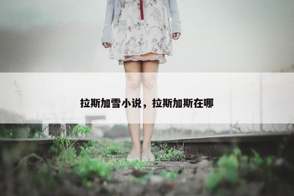 拉斯加雪小说，拉斯加斯在哪