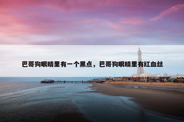 巴哥狗眼睛里有一个黑点，巴哥狗眼睛里有红血丝