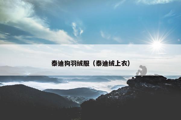 泰迪狗羽绒服（泰迪绒上衣）
