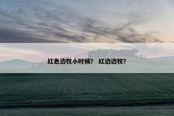红色边牧小时候？ 红边边牧？