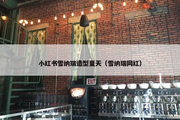 小红书雪纳瑞造型夏天（雪纳瑞网红）