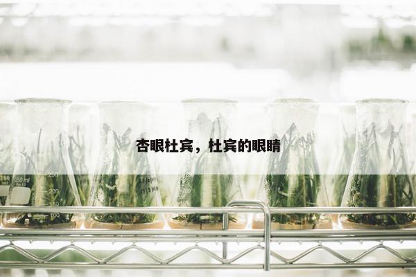 杏眼杜宾，杜宾的眼睛