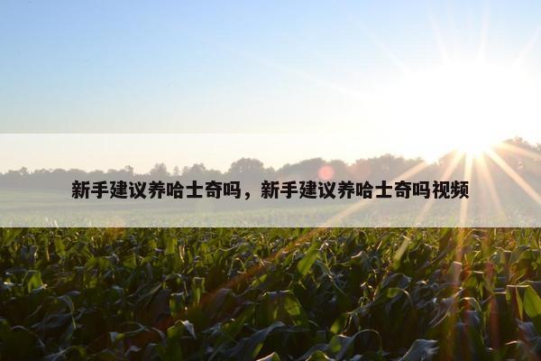 新手建议养哈士奇吗，新手建议养哈士奇吗视频