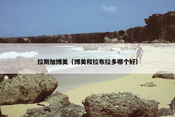 拉斯加博美（博美和拉布拉多哪个好）