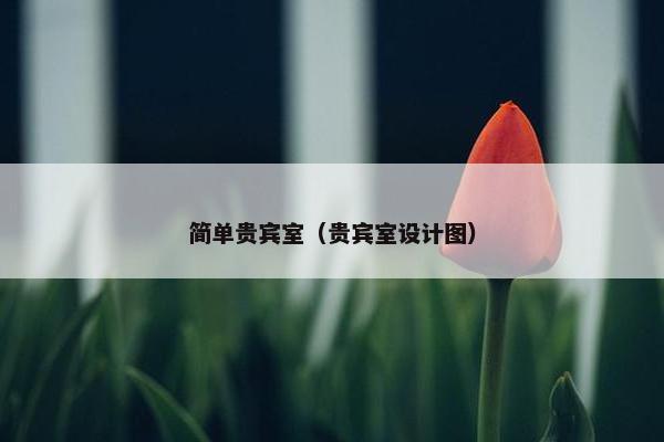 简单贵宾室（贵宾室设计图）