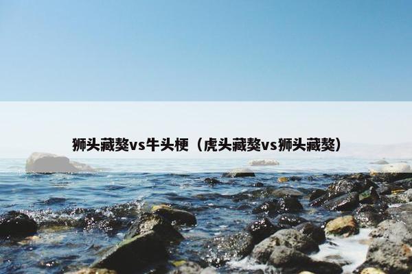狮头藏獒vs牛头梗（虎头藏獒vs狮头藏獒）