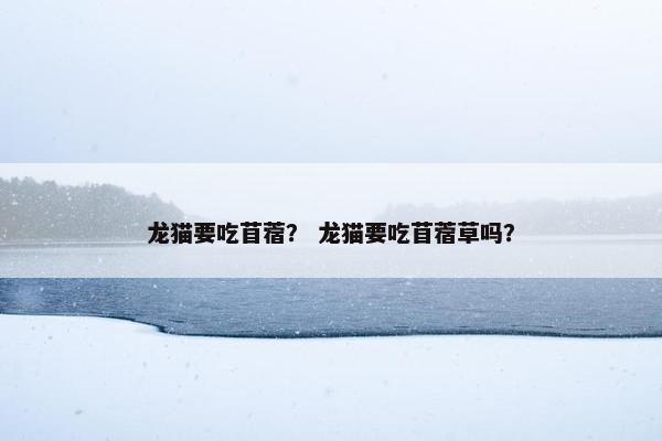 龙猫要吃苜蓿？ 龙猫要吃苜蓿草吗？