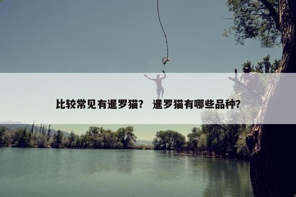 比较常见有暹罗猫？ 暹罗猫有哪些品种？