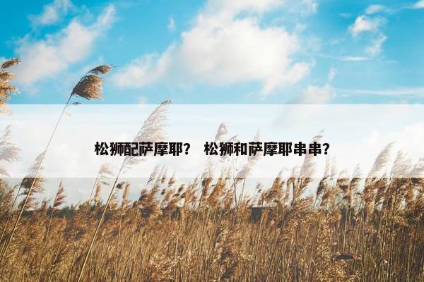 松狮配萨摩耶？ 松狮和萨摩耶串串？