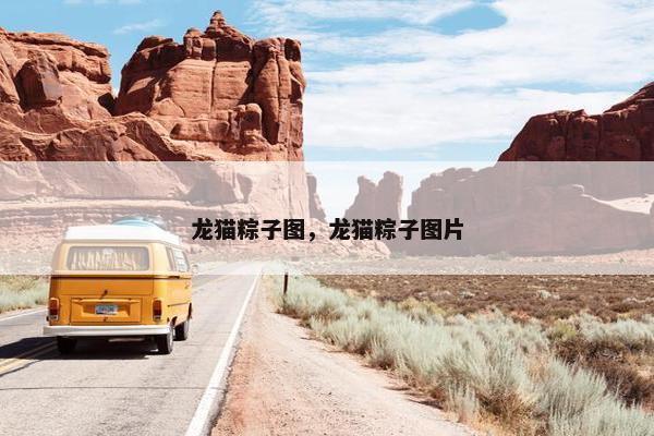 龙猫粽子图，龙猫粽子图片