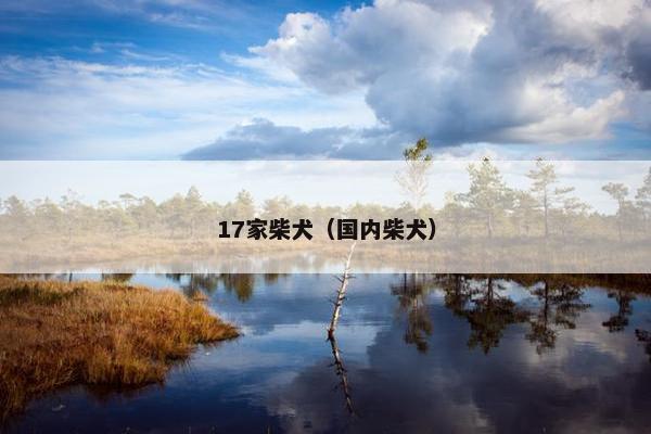 17家柴犬（国内柴犬）