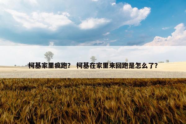 柯基家里疯跑？ 柯基在家里来回跑是怎么了？