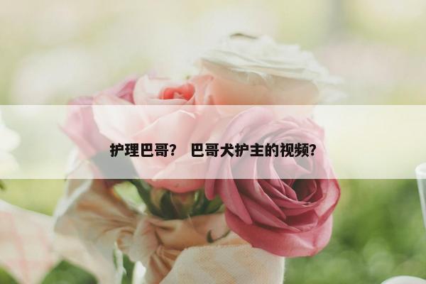 护理巴哥？ 巴哥犬护主的视频？