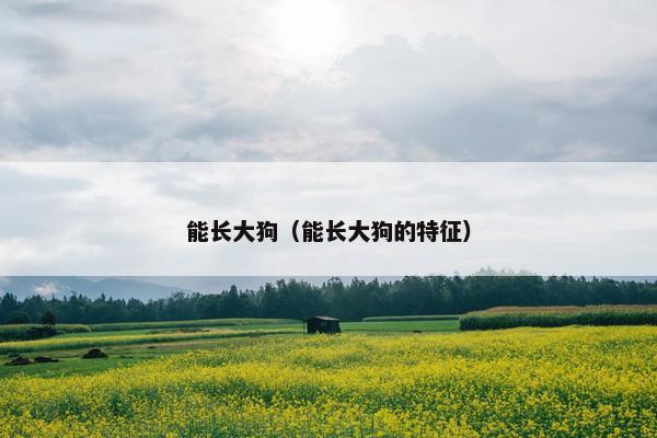 能长大狗（能长大狗的特征）