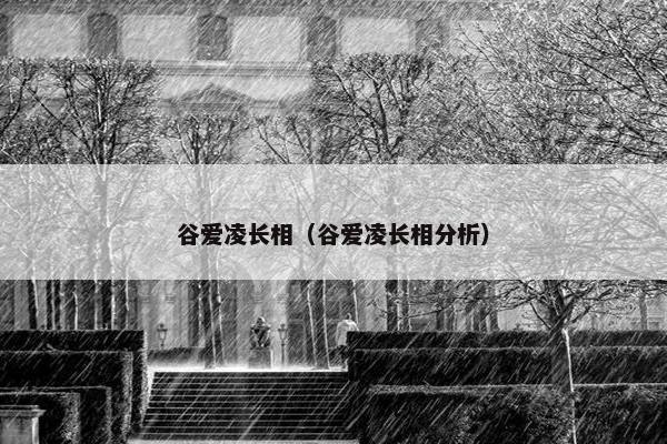谷爱凌长相（谷爱凌长相分析）