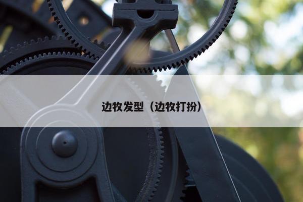 边牧发型（边牧打扮）