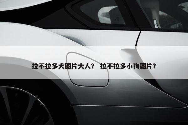 拉不拉多犬图片大人？ 拉不拉多小狗图片？
