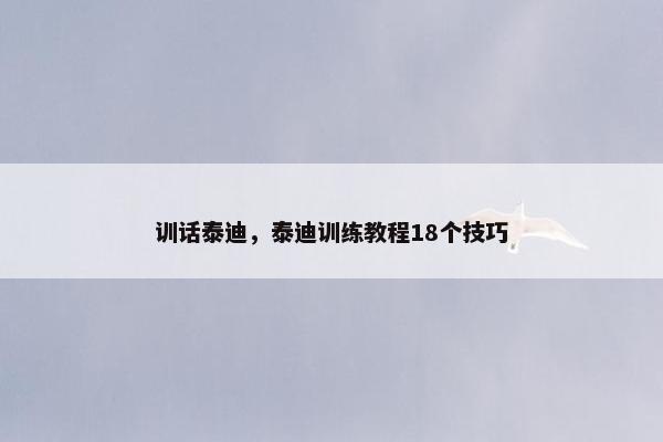 训话泰迪，泰迪训练教程18个技巧