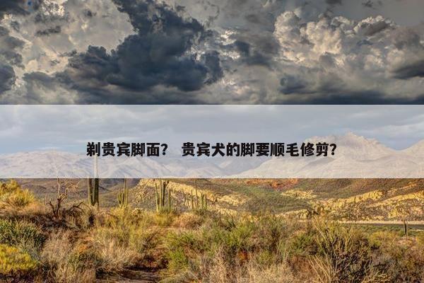 剃贵宾脚面？ 贵宾犬的脚要顺毛修剪？