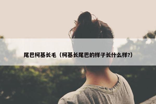 尾巴柯基长毛（柯基长尾巴的样子长什么样?）