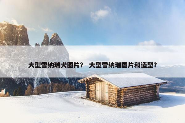 大型雪纳瑞犬图片？ 大型雪纳瑞图片和造型？