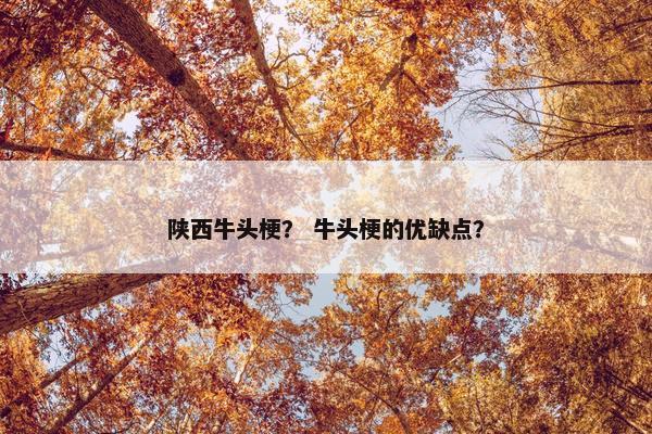 陕西牛头梗？ 牛头梗的优缺点？