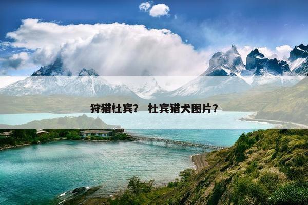 狩猎杜宾？ 杜宾猎犬图片？