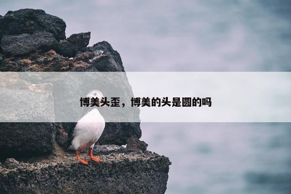 博美头歪，博美的头是圆的吗