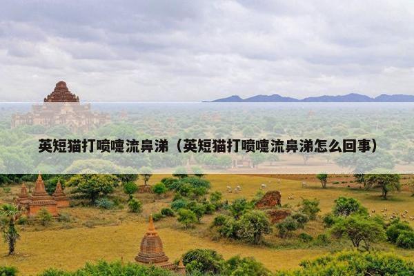 英短猫打喷嚏流鼻涕（英短猫打喷嚏流鼻涕怎么回事）