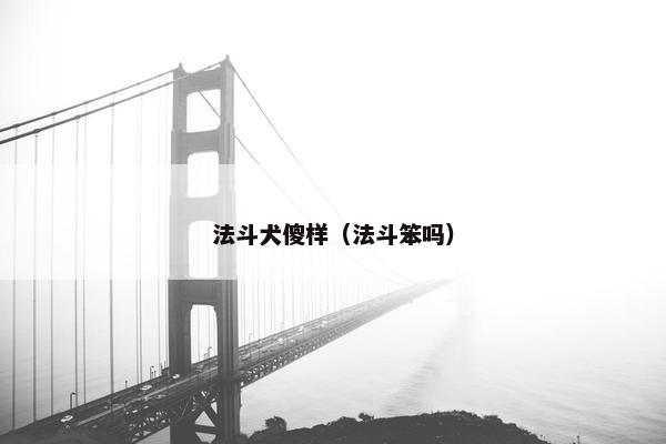 法斗犬傻样（法斗笨吗）