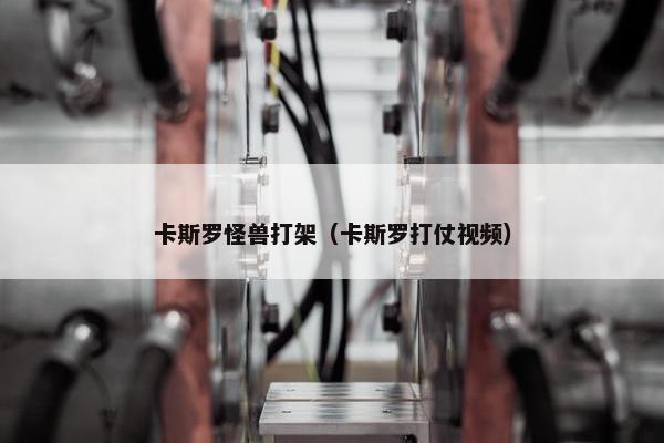 卡斯罗怪兽打架（卡斯罗打仗视频）